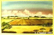 Across the Fields - Suffolk