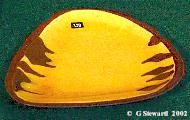 Triangular Slipped Dish (2)