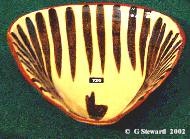 Triangular Slipped Dish (2)