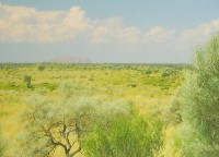 Uluru Landscape