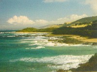 Great Ocean Road - Australia