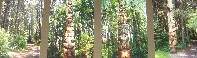 Totem Poles - Sitka - Alaska
