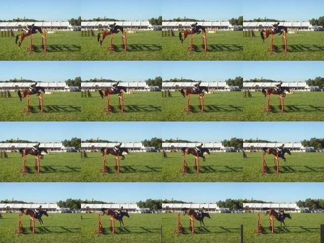 Show Jumping