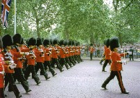 Trooping the Colour Ceremony 2006 I