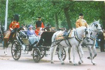 Trooping the Colour Ceremony 2006 III