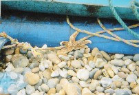 Aldeburgh Beach II