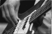 Intoducing Epico - Rich - Bass