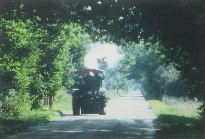 Rolling Countryside